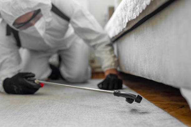 Professional Termite Control technician working in Fairfax, IA
