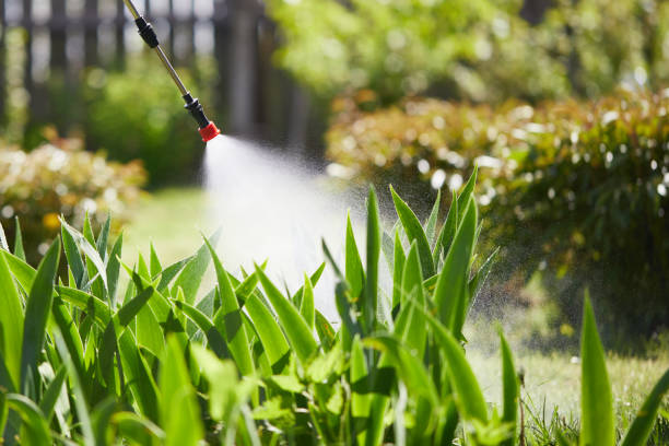 24/7 Emergency Termite Control experts in Fairfax, IA