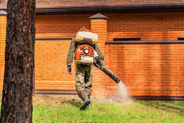 Top rated local Termite Control specialists in Fairfax, IA